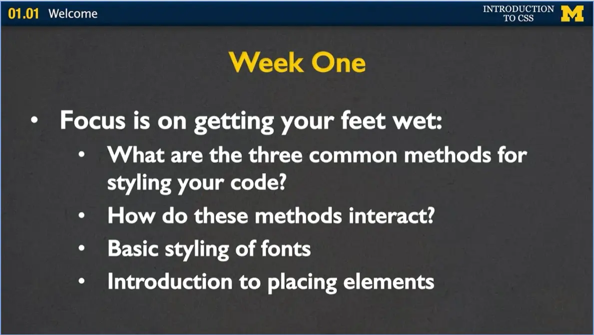 Week One: Getting your feet wet.