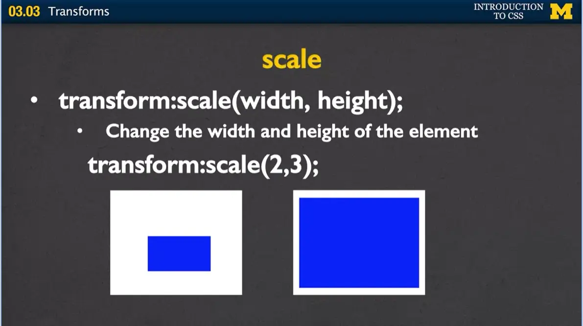 Scale